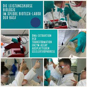BASF Biotech 2019