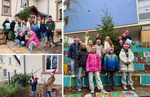 Weihnachtsbaumaktion